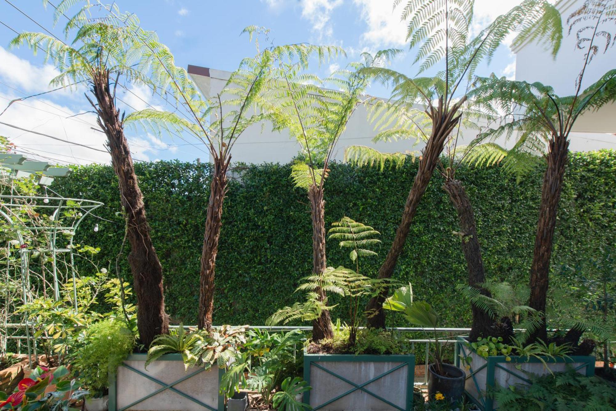 Le Soleil Boutique Hotel Đà Lạt